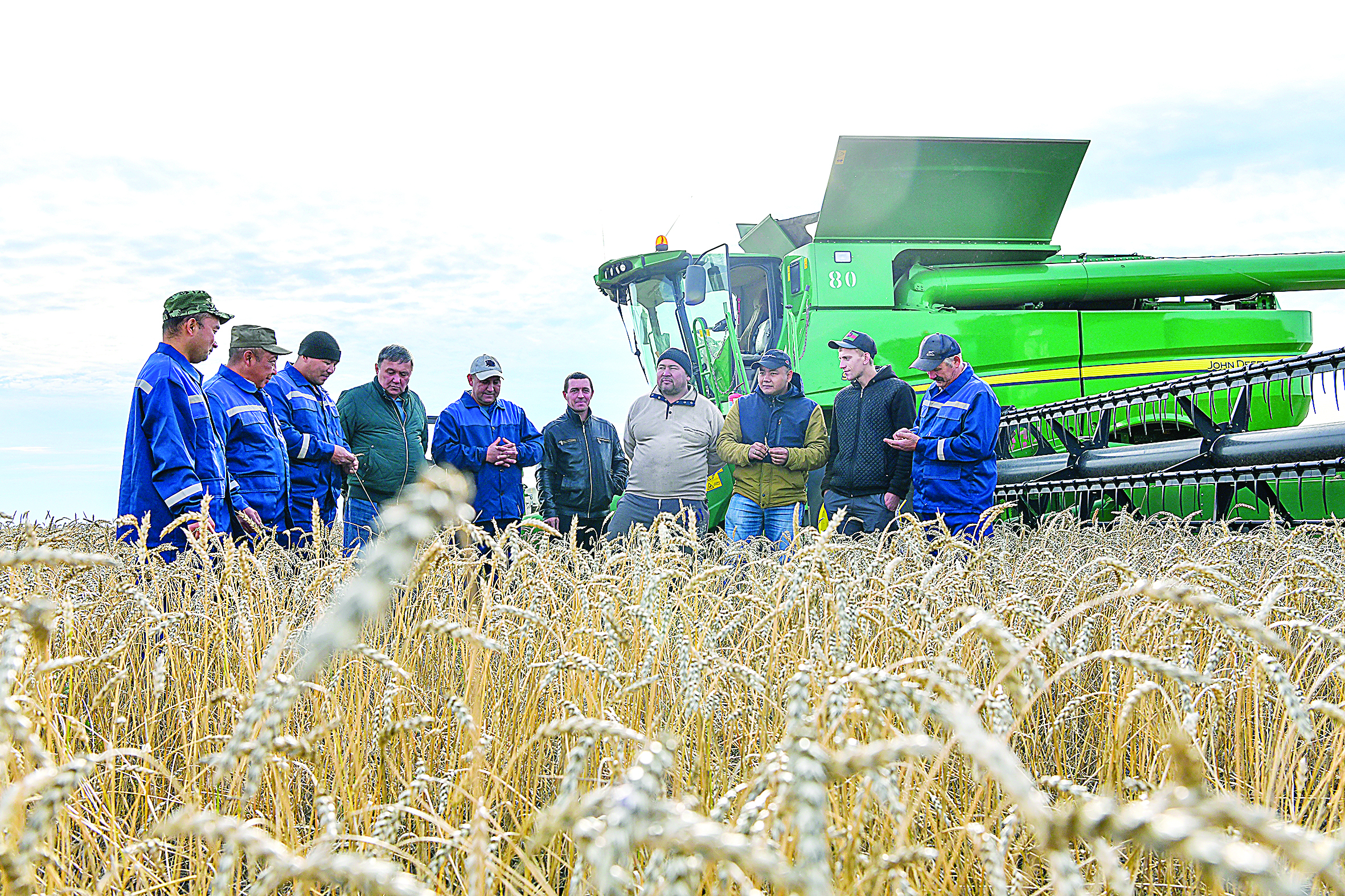 Егінге орақ түсті