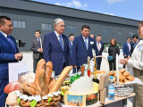 Президент Павлодар облысы кәсіпорындарының өнімдерімен танысты