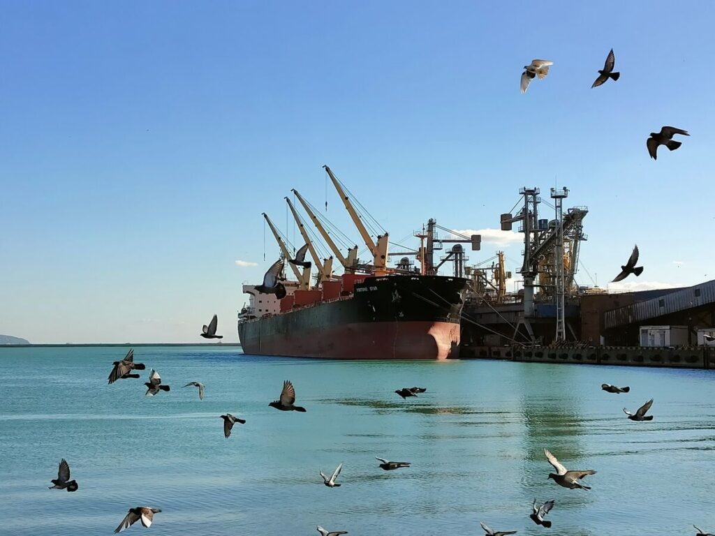 Әлемді алаңдатқан астық келісімі