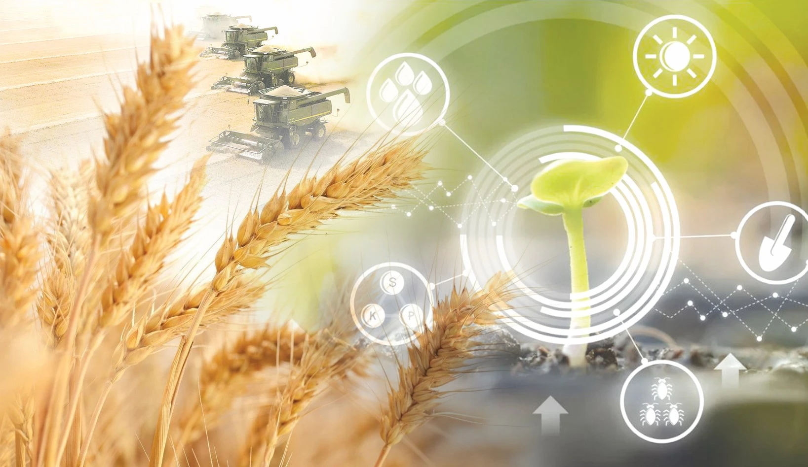 Агроғылым қашан еңсе тіктейді?