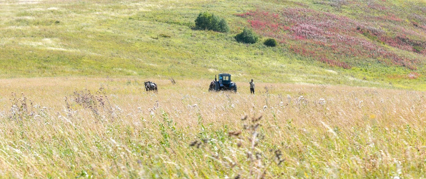 Жер жайына алаңдау