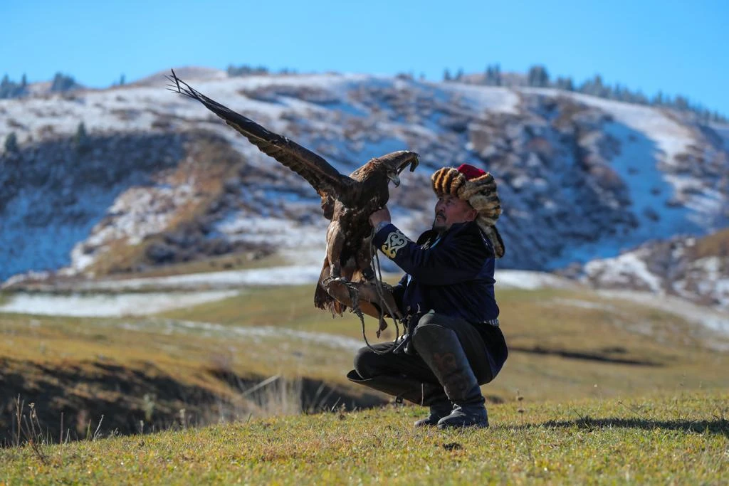 Еркіндік қыраны, қалықта!