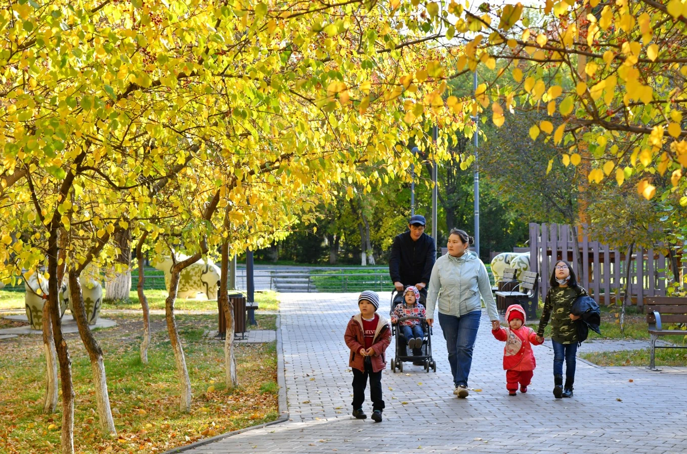Әлеуметтік реформалар табысы
