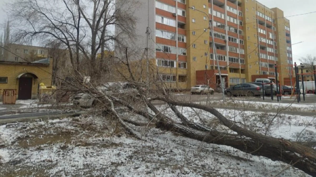 Павлодар облысында төтенше жағдай жарияланады