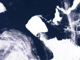 Әлемдегі ең үлкен айсберг 37 жылдан кейін орнынан қозғалды