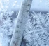 11 желтоқсан күні бірінші ауысымдағы Астана оқушылары қашықтан оқиды