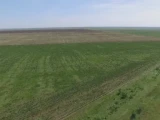 Заңсыз берілген 10 млн гектар жер мемлекетке қайтарылды