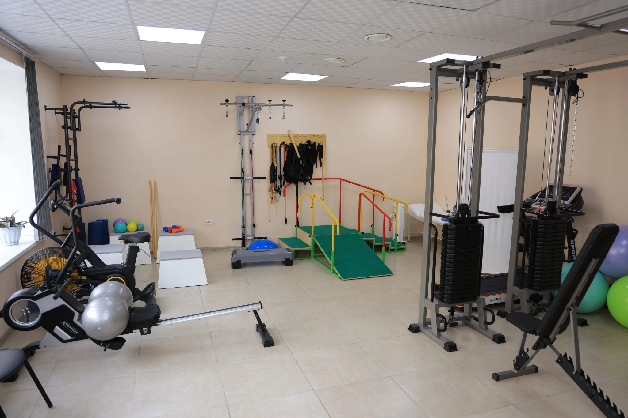 Денге шипа диспансер