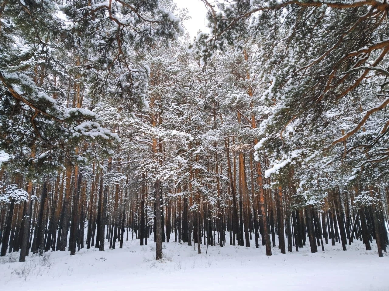 Бурабай алқабы ұлғаяды