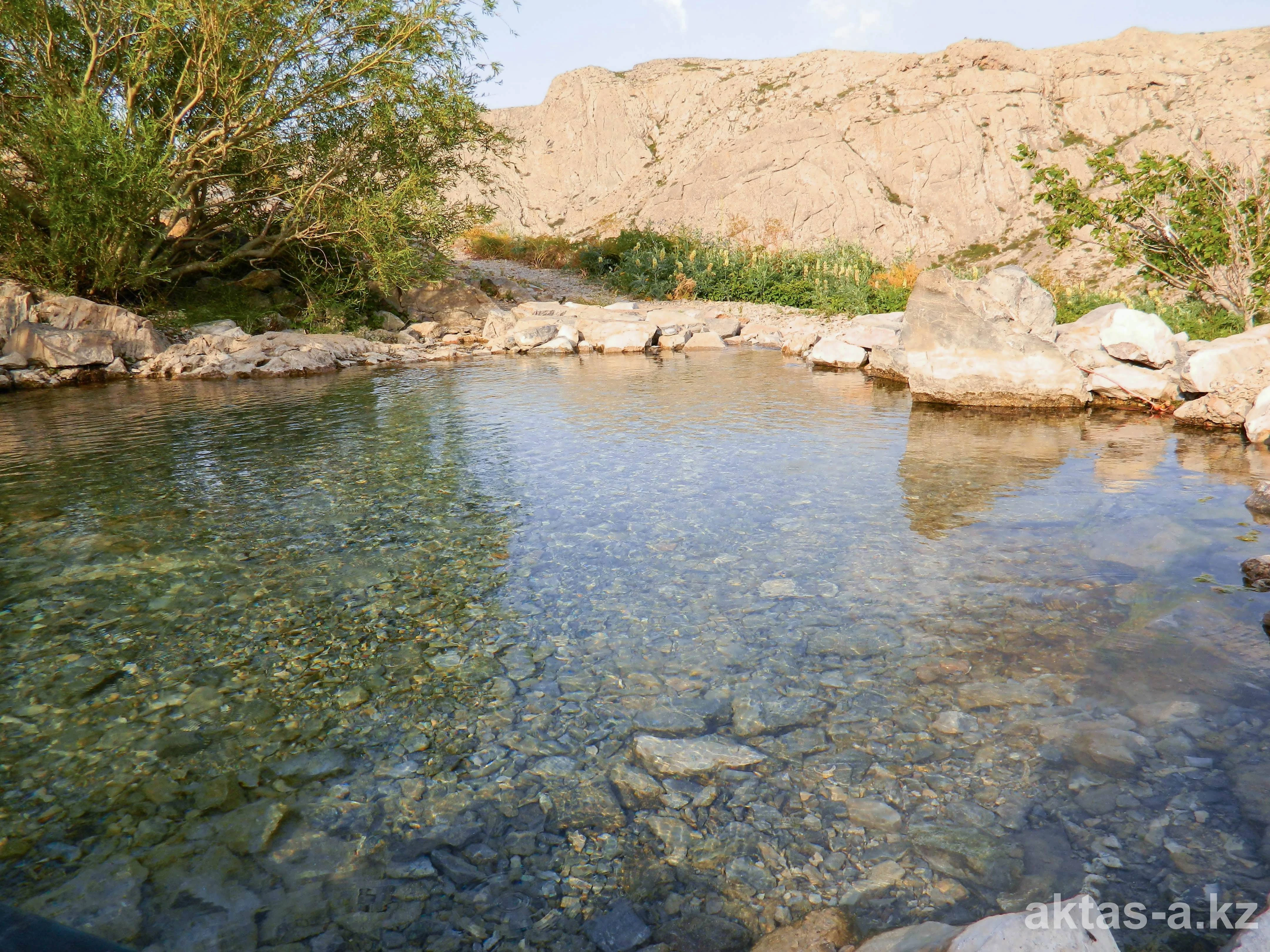 Шипалы бұлаққа мемлекеттік көзқарас керек