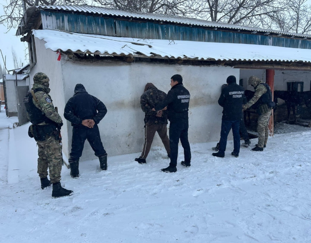 Мал ұрлығы мазалап тұр...