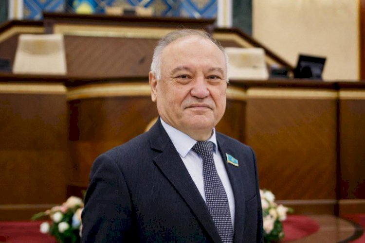 Дала демократиясы