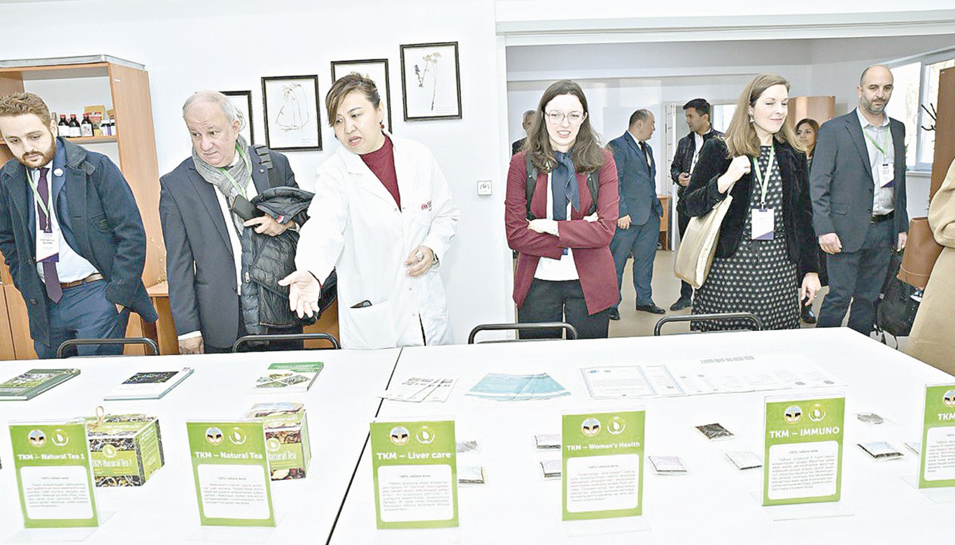 Жусан деген бір шөп бар