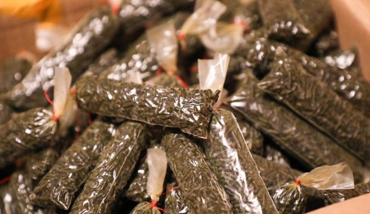 Астанада насыбай өндіретін жерасты цехы жойылды