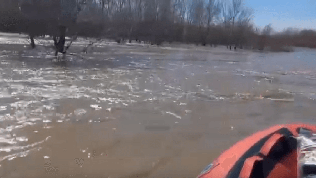 Целинныйда жоғалған малшы іздестіріліп жатыр