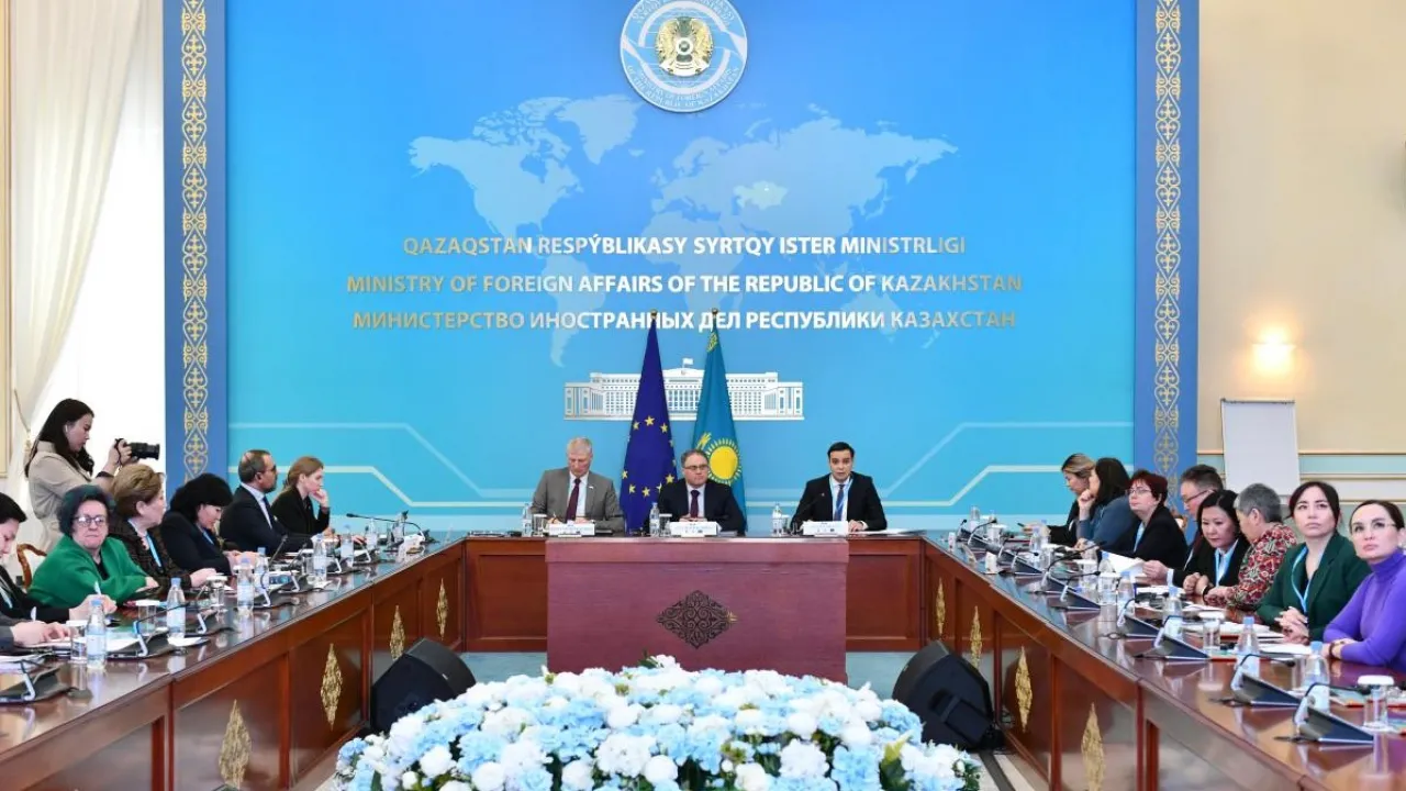 Әйелдер құқын қорғаудың халықаралық тәжірибесі