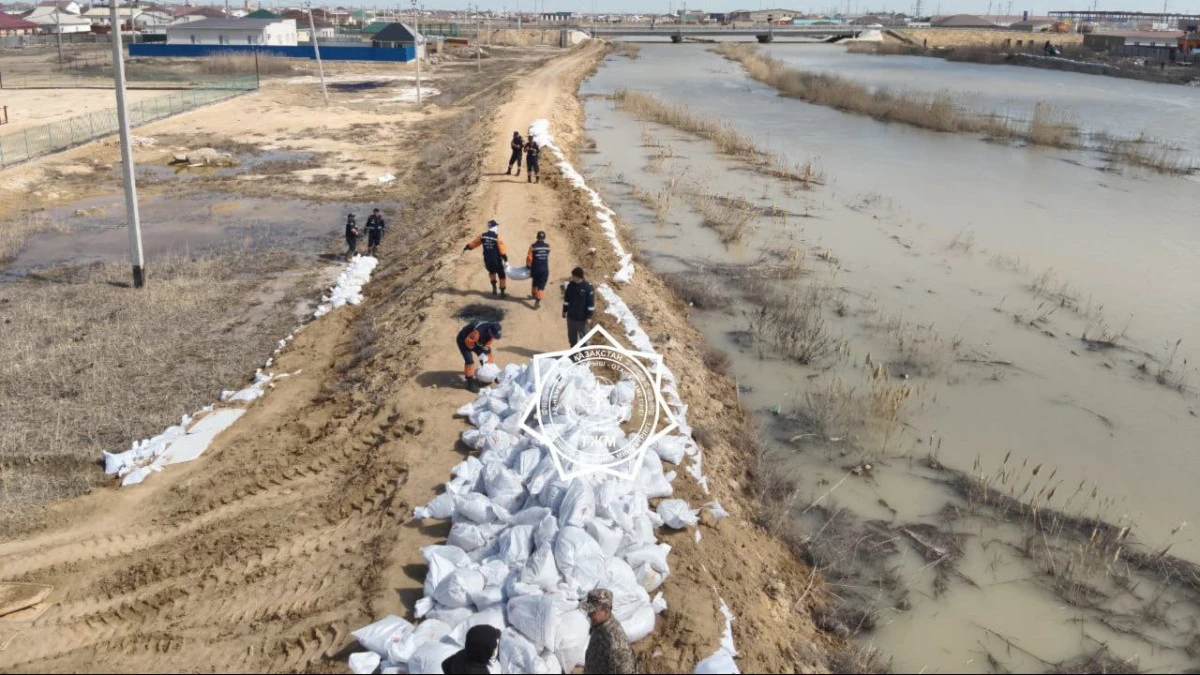 Құлсарыға ақша жіберген 4-сынып оқушысы зардап шеккендерді риза қылды