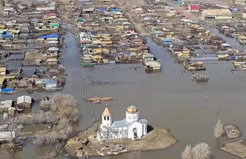 Петропавлда жабайы қабан, қасқыр жүргені рас па?