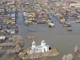 Петропавлда жабайы қабан, қасқыр жүргені рас па?