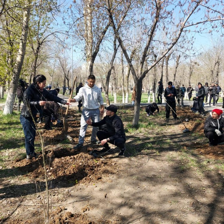 Керекуліктер жаппай көшет екті