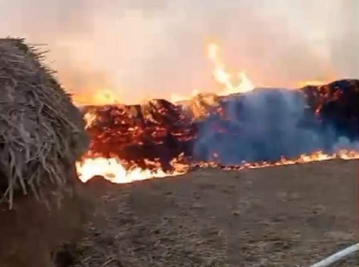 Атырау облысында 250 тонна пішен өртеніп кетті