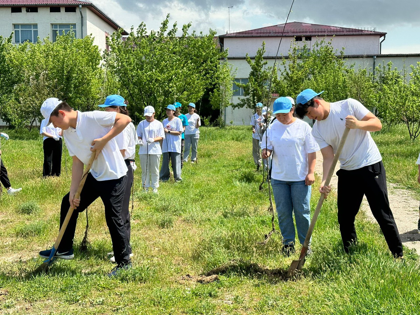 Тазалық тәрбиесі