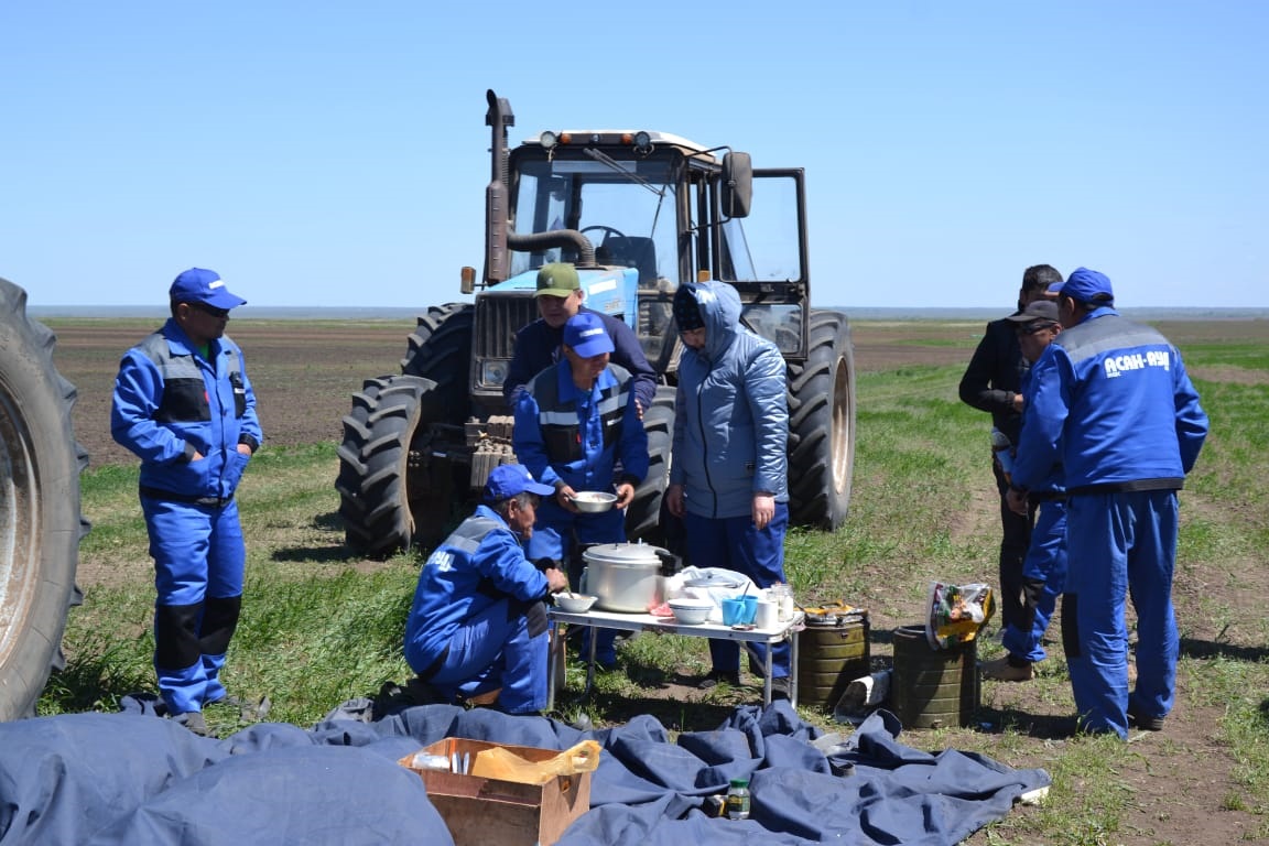 Қырдағы қызу еңбек