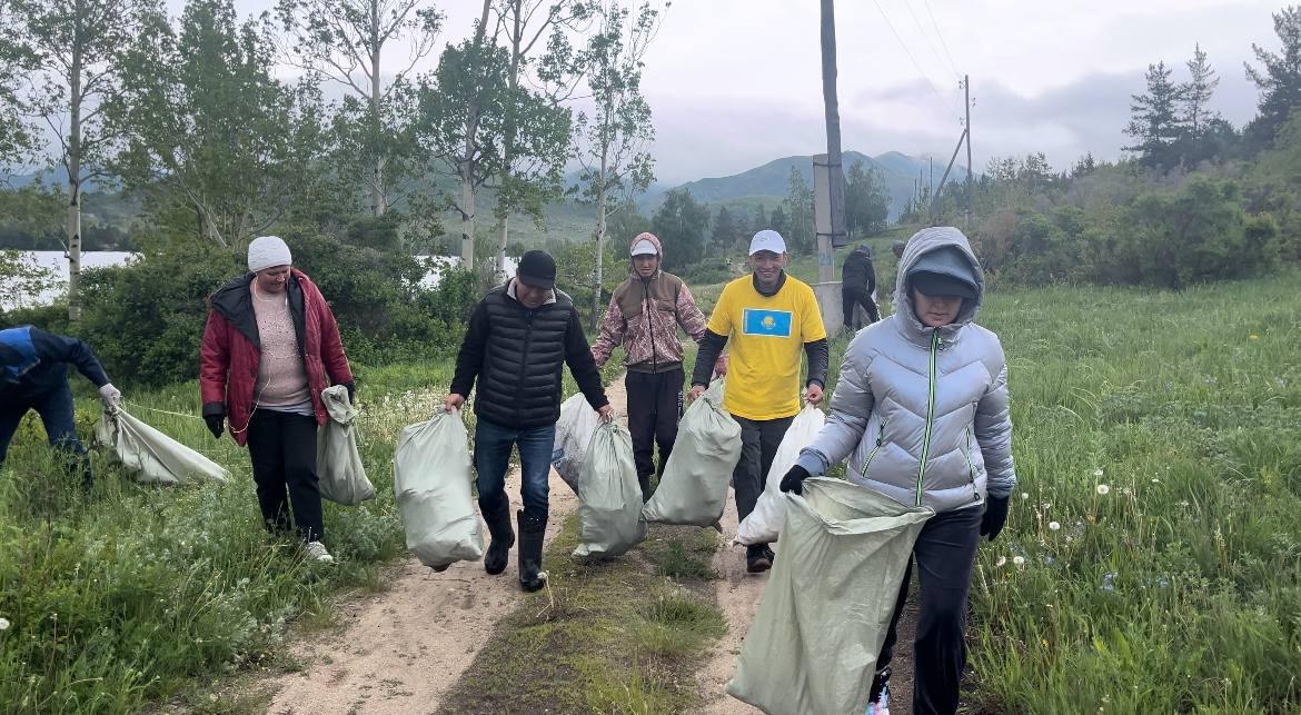 Шыбындының шырайы кірді