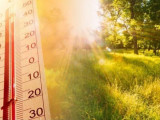 43 градус ыстық: Синоптиктер аптап ыстық болатын өңірлерді атады