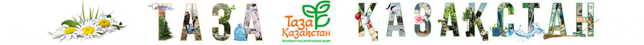 Баннер