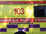 СҚО-да түгел бір отбасы астан уланып, 2 баласынан айырылып қалды