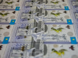 Жемқорлыққа қарсы еріктілер 7 млрд теңгеден астам ақшаны негізсіз жұмсаудың алдын алды