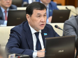 Ұлттық құндылықтарымызға нұқсан келтіретін әрекет заң аясында жазалануы тиіс - депутат