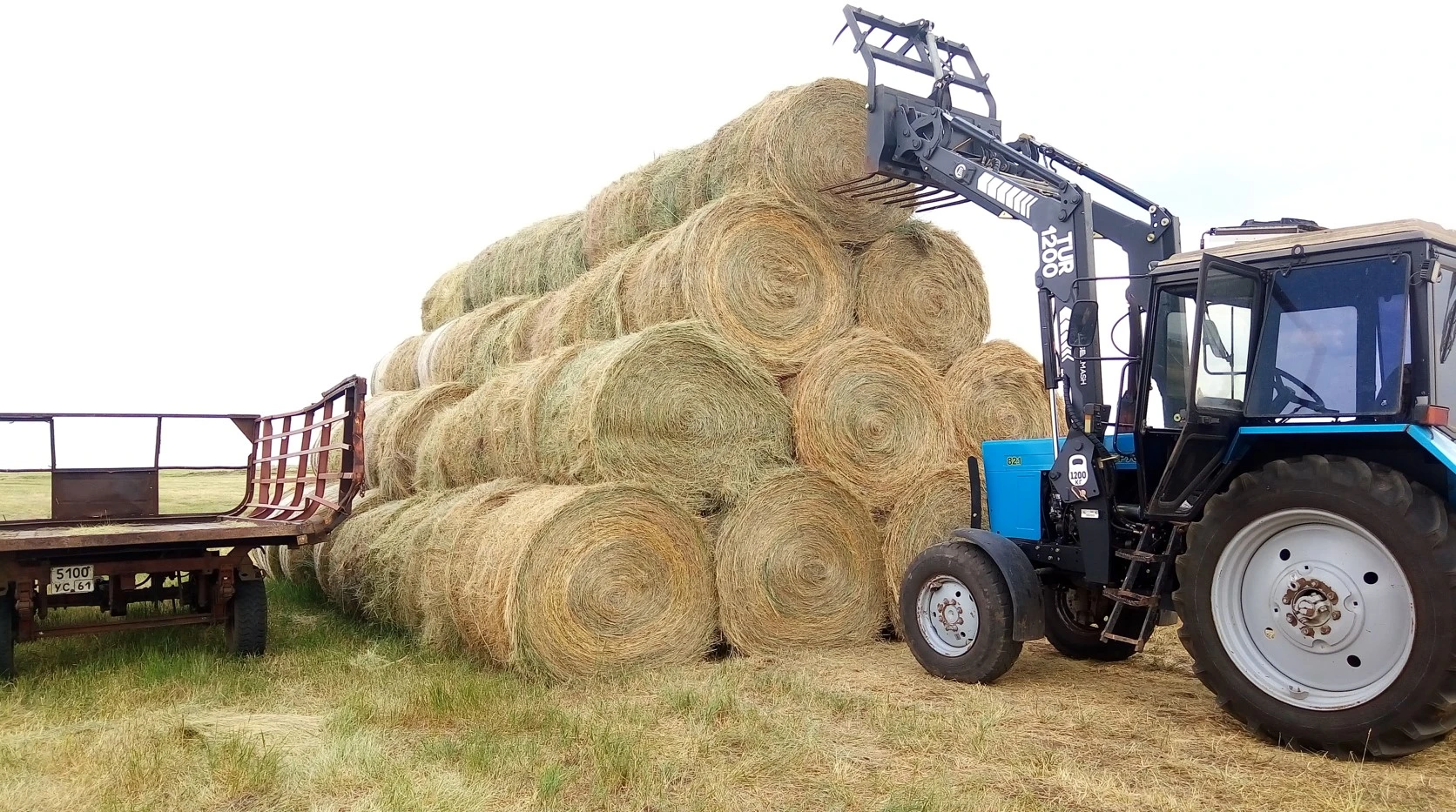 Шаруаларды нақты қолдау жолы