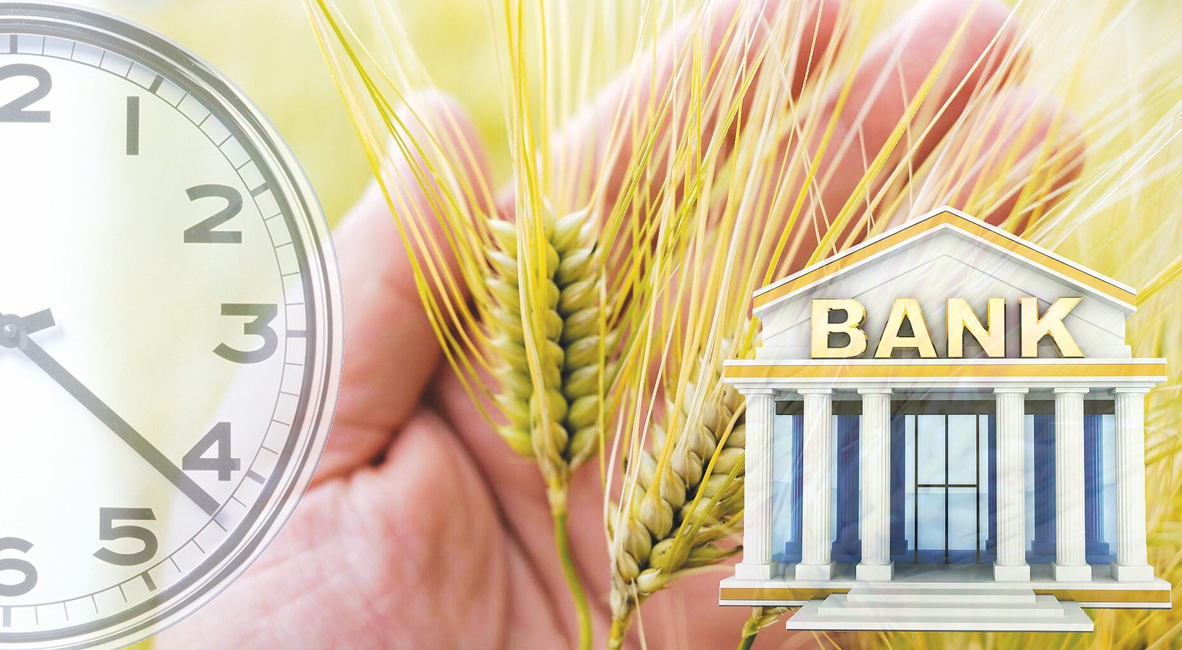 Агробанк мәселесі байыпталып жатыр