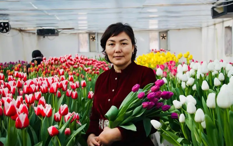 Қызғалдақ – ғылым тақырыбы