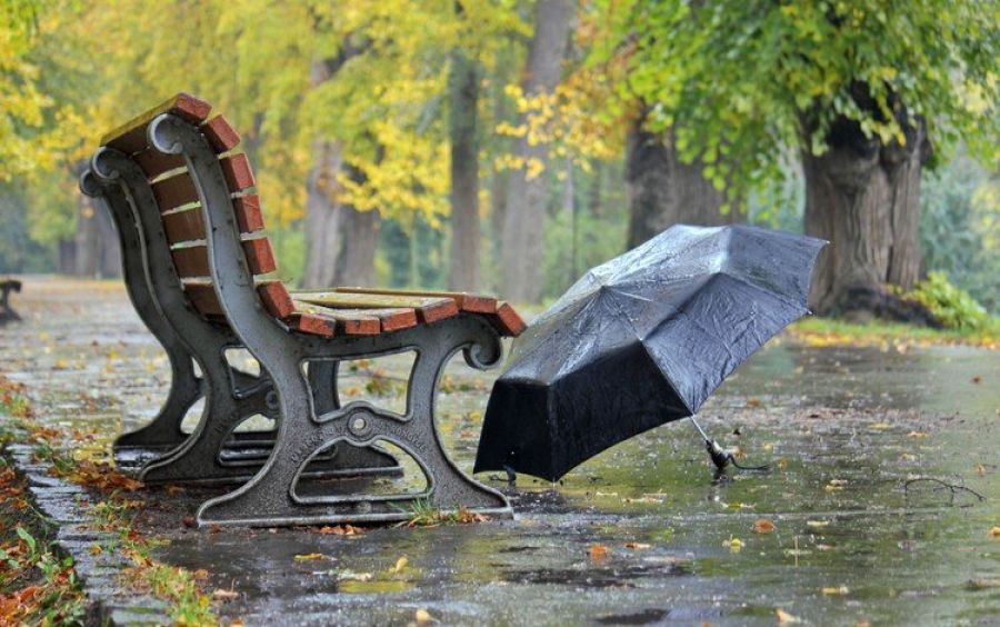 Бүгін еліміздің басым бөлігінде жаңбыр жауады
