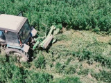 «Қарасора» операциясы: Полицейлер 13 тоннаға жуық есірткі тәркіледі
