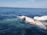 Алакөлге адамдар мінген дельтаплан құлады