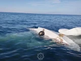Дельтаплан апатынан зардап шеккендердің жағдайы белгілі болды