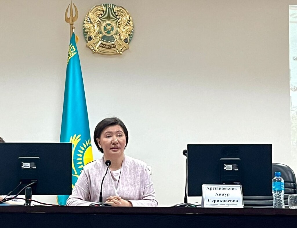 Медицина мекемесіндегі  зәрулік