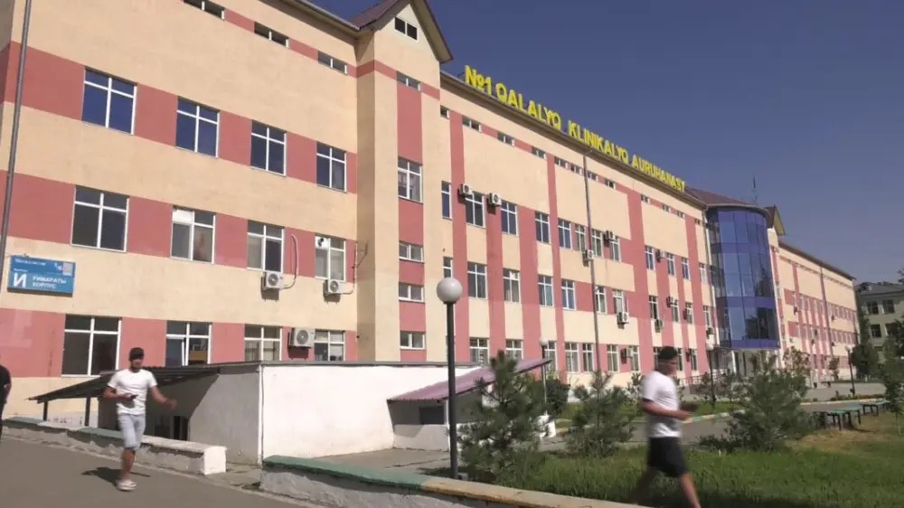 Шымкентте мас ер адам автобус жүргізушісіне шабуыл жасады, әйел көз жұмды