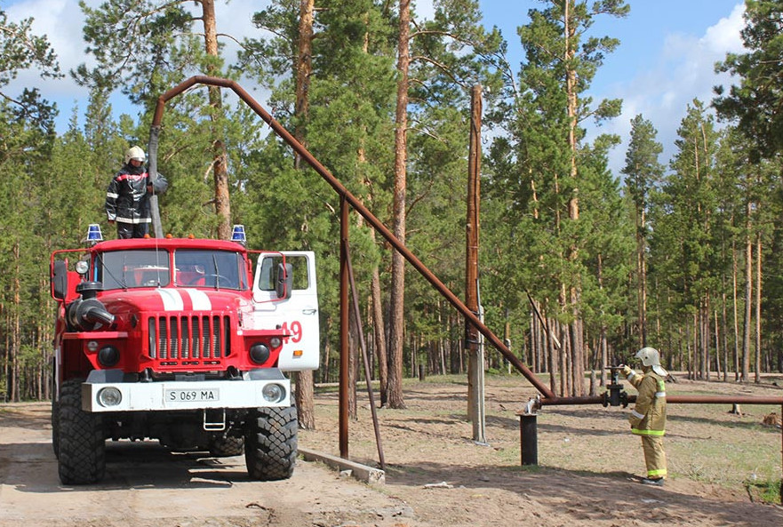 Өрт сөндірушілер «Ертіс орманына» бағыт алған тілсіз жауды тоқтатты
