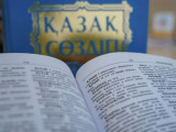 Аудиторияның 80 пайызы қазақ тілді контентті тұтынады – Аида Балаева
