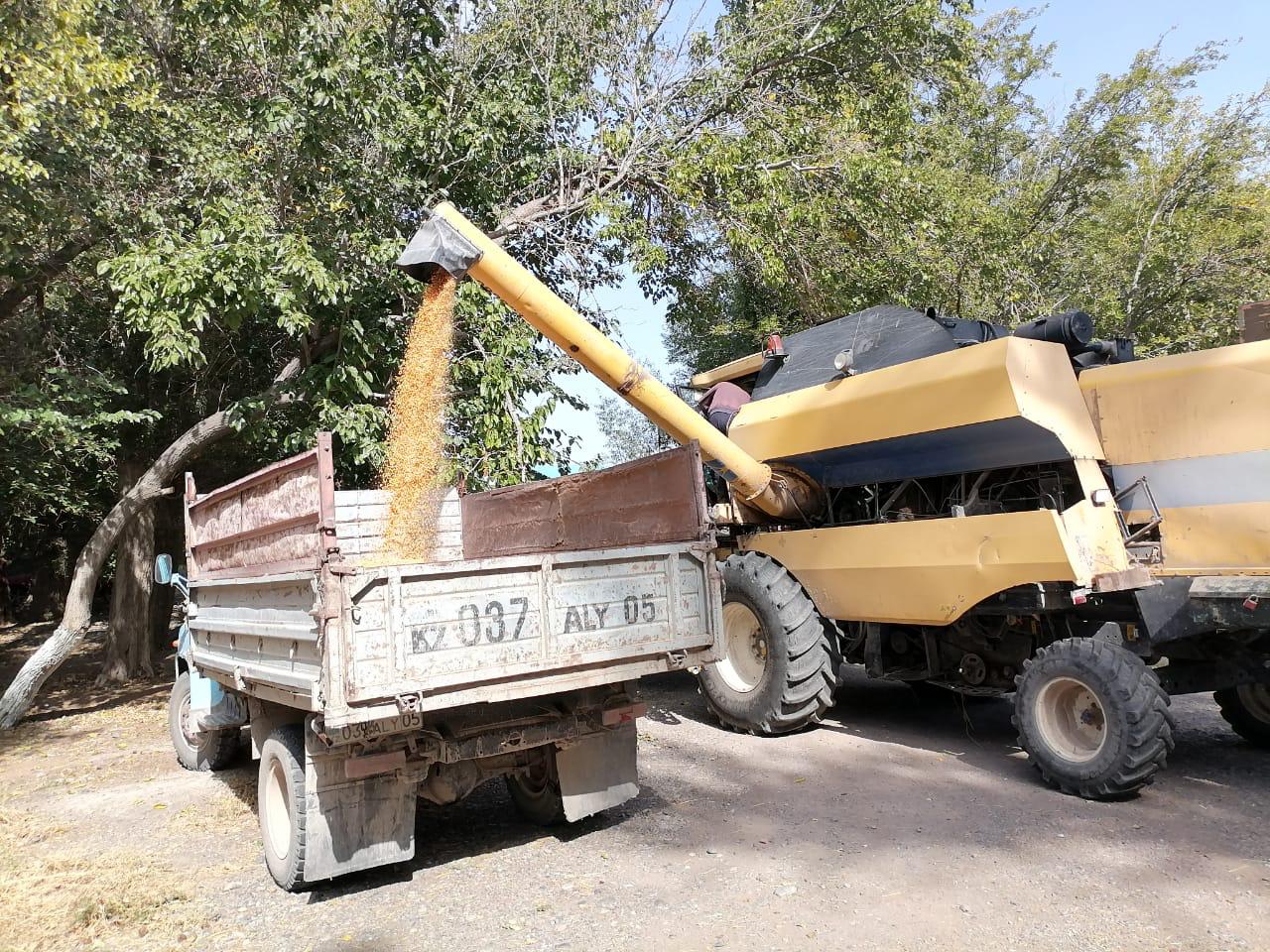 вв