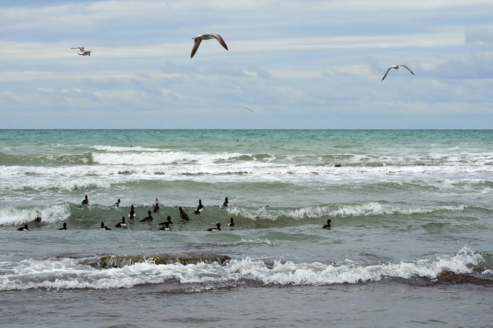 Каспийге құяр су азайып барады