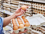Жұмыртқа бағасы тұрақтанады