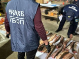 Атырауда бекіре уылдырығын тасымалдаған күдікті ұсталды