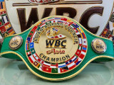 WBC жаңа жоба ұсынды