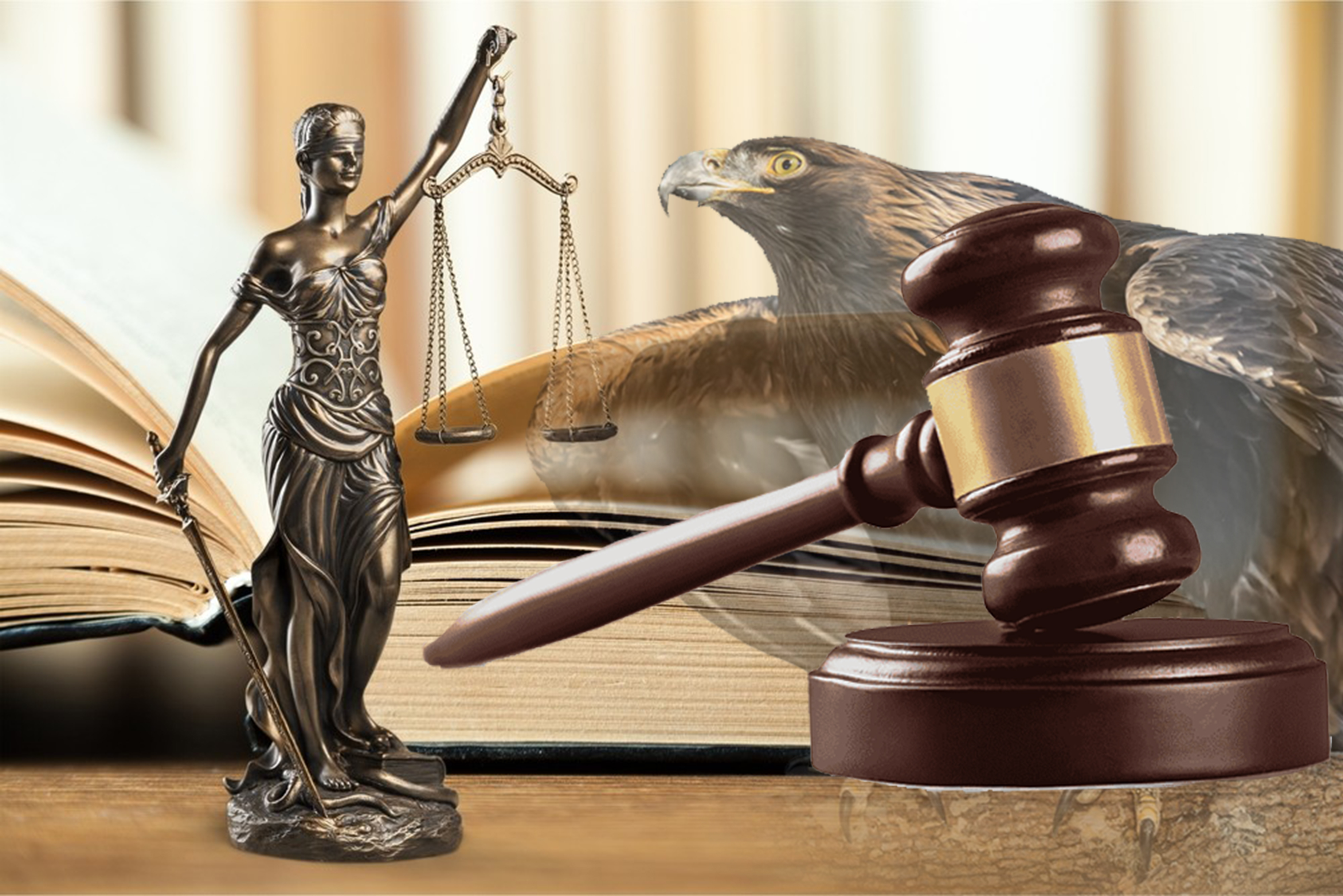 Қоғамды алға жетелейтін құқықтық сауат